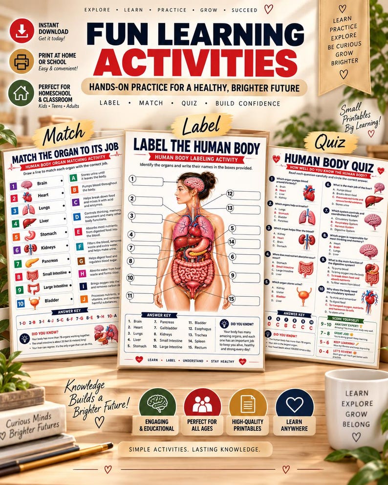 Human Body Anatomy Poster Printable, Organs, Functions, Systems (Digital Download) — original Etsy mockup 5