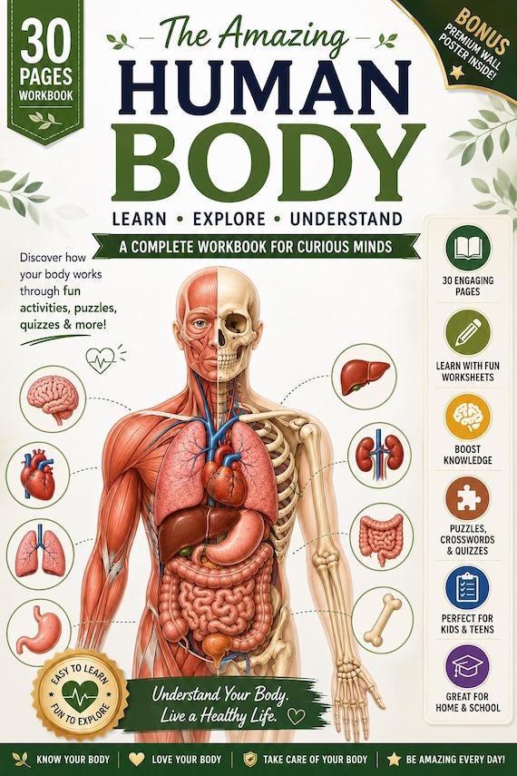 Human Body Systems Workbook Printable PDF | Human Anatomy Poster | Science Homeschool Activities | 30 Pages