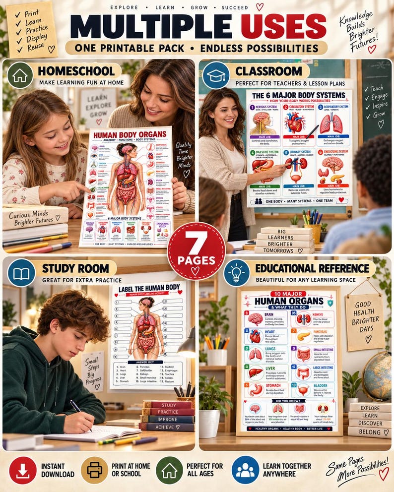 Human Body Anatomy Poster Printable, Organs, Functions, Systems (Digital Download) — original Etsy mockup 10
