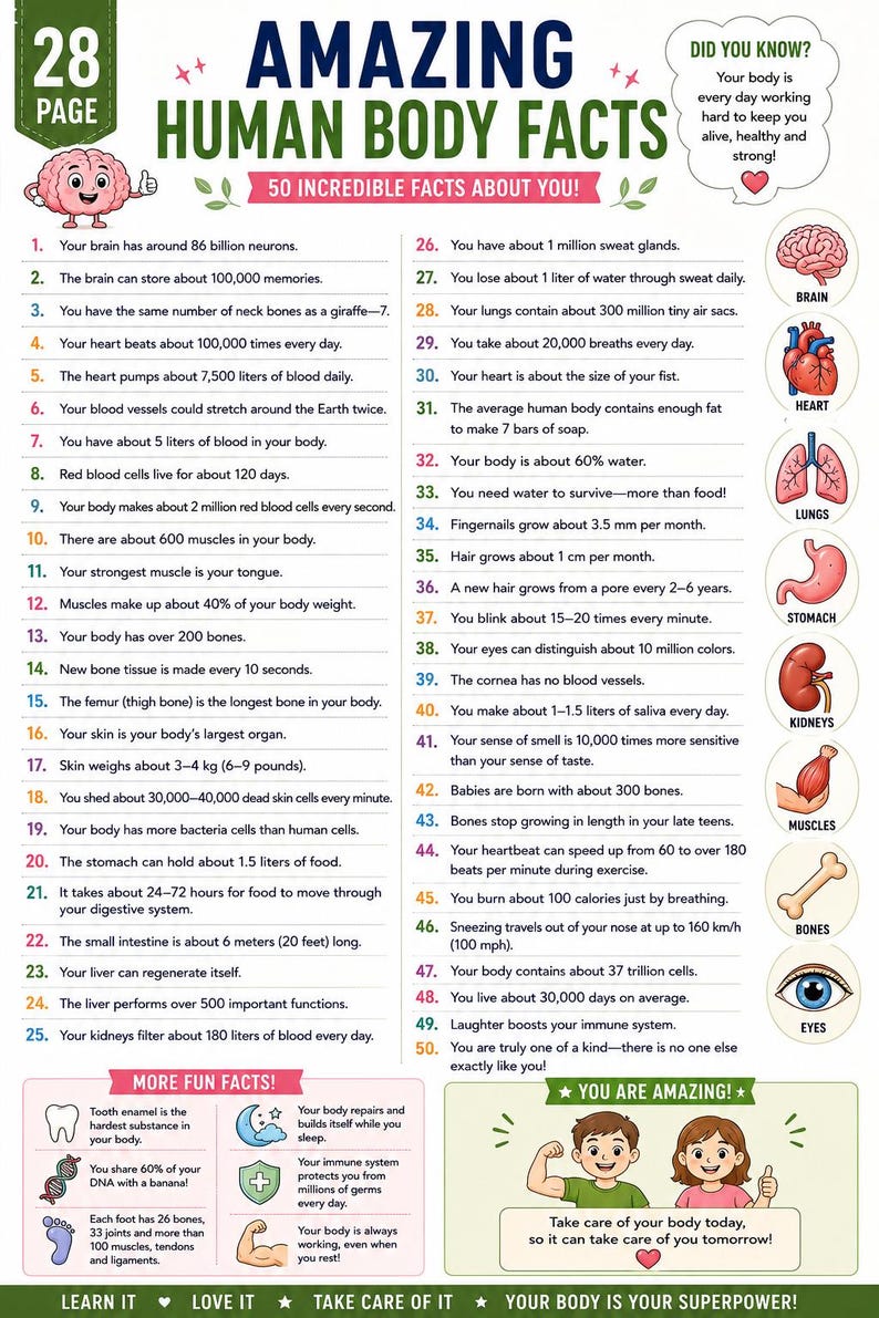 Human Body Systems Workbook for Kids | Anatomy Educational Guide (Digital Download) — original Etsy mockup 15