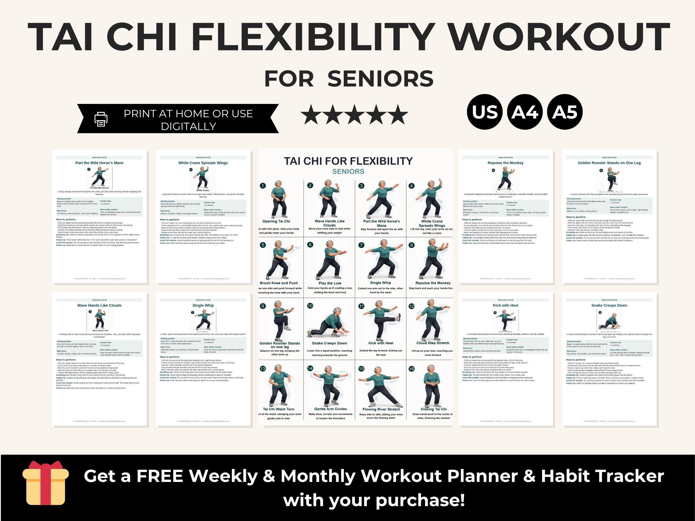 Tai Chi Exercises For Seniors Pdf Free Download