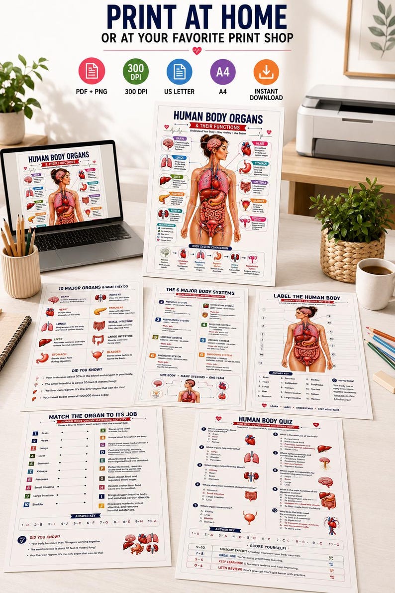 Human Body Anatomy Poster Printable, Organs & Functions, Anatomy Worksheets for Kids, Body Systems Activity, Homeschool Science PDF — original Etsy mockup 3