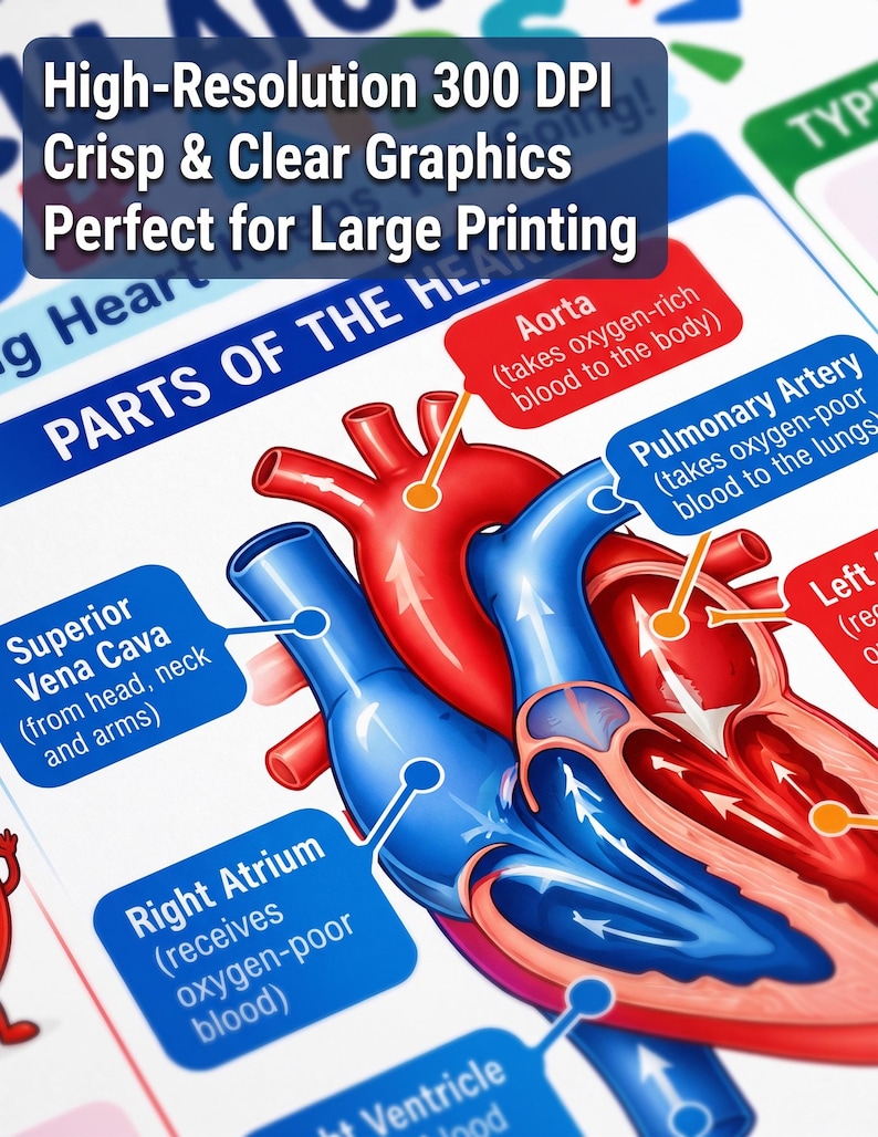15-Poster Kids Human Body Bundle, Anatomy Systems, Science Classroom Decor (Digital Download) — original Etsy mockup 6