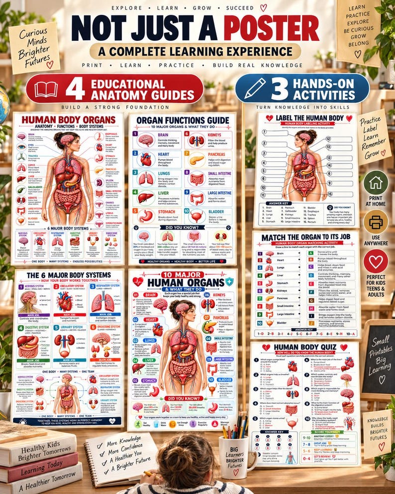 Human Body Anatomy Poster Printable, Organs, Functions, Systems (Digital Download) — original Etsy mockup 4