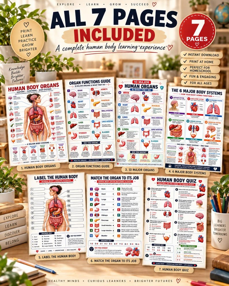 Human Body Anatomy Poster Printable, Organs, Functions, Systems (Digital Download) — original Etsy mockup 3