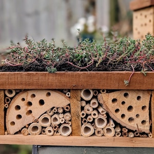 May include: A rectangular wooden insect hotel featuring a green succulent roof. The structure contains two sections filled with drilled wooden logs and hollow bamboo reeds, providing nesting cavities for pollinators in a natural brown wood finish.