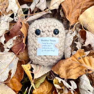 Puede incluir: Un peluche en forma de patata de ganchillo beige con ojos de botón negros, que sostiene un cartel que dice "Positive Potato". El cartel dice "Puede que sea una patata pequeña, pero creo en ti, ¡hazlo!" Rodeado de hojas de otoño.