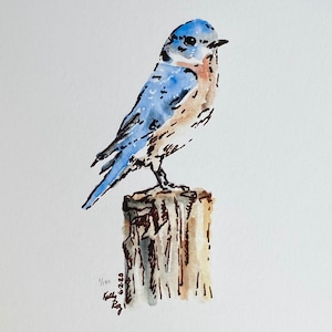 Bluebird of Happiness