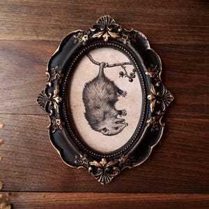 Può includere: Una cornice da parete di forma ovale con finitura nera e oro caratterizzata da decorazioni floreali intagliate. All'interno della cornice si trova una stampa color beige di un piccolo animale peloso appeso a testa in giù a un ramo sottile.