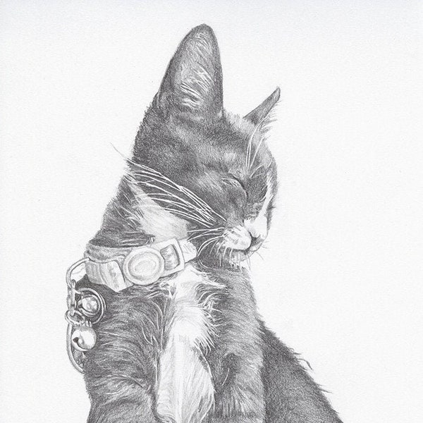 Custom Pet Portrait 5x7" - Drawing From Your Photo - Single Subject