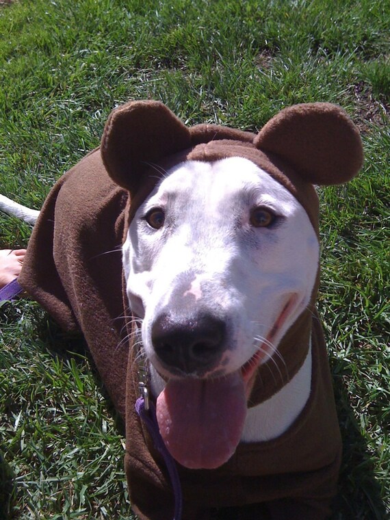 Items similar to Large Breed Dog Teddy Bear Costume on Etsy