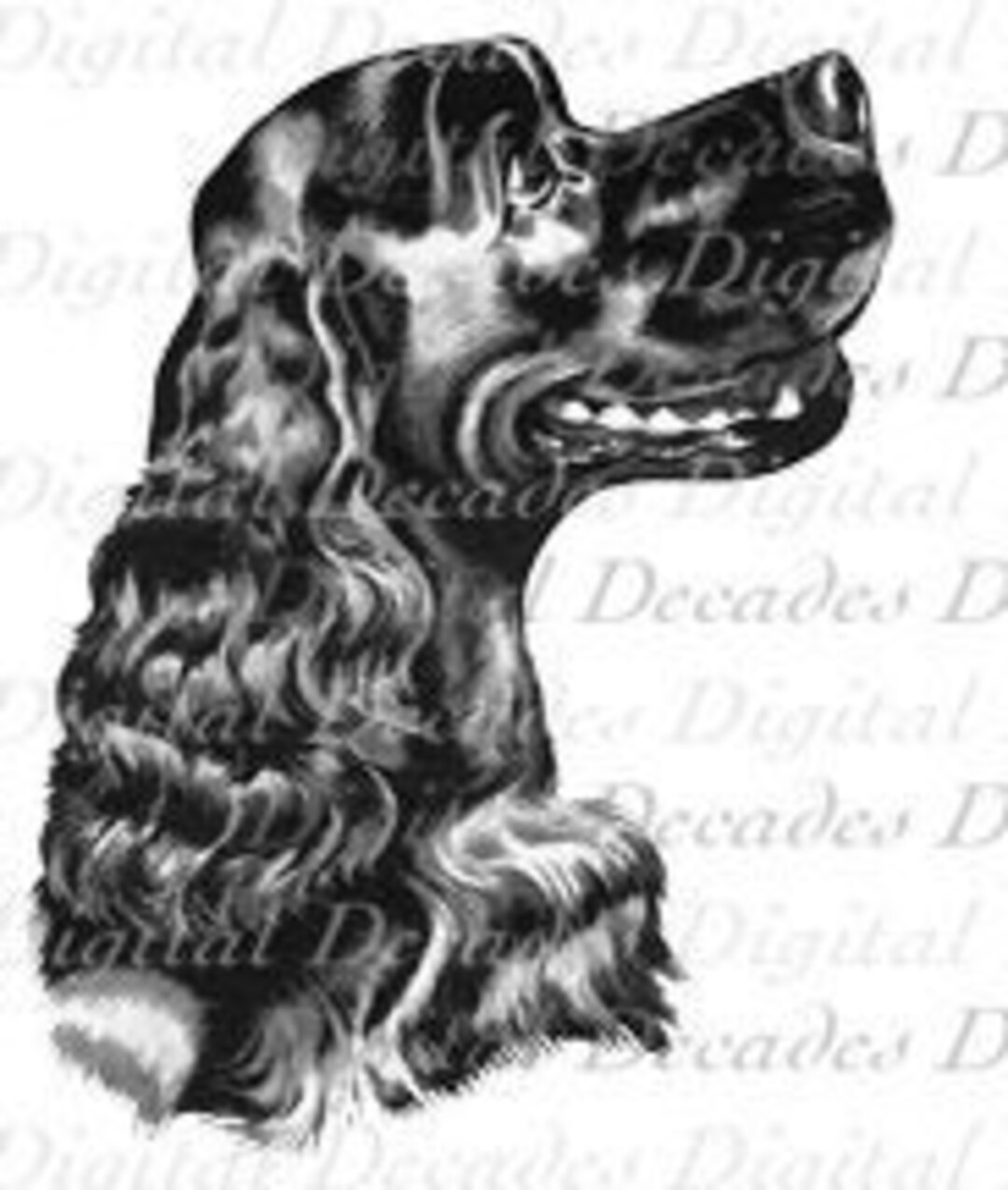 Cocker Spaniel Retro Mid-century Puppy Dog Digital Image Vintage Art ...