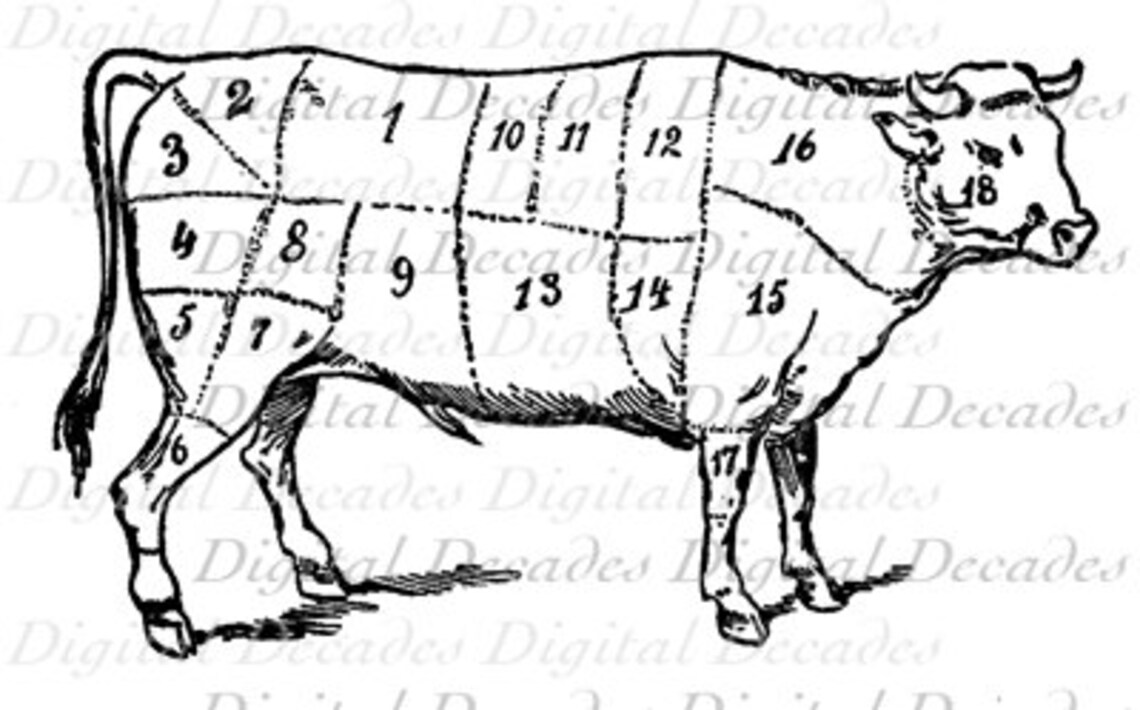 Beef Boeuf Butcher Meat Cut Chart Cooking Digital Image Vintage Art