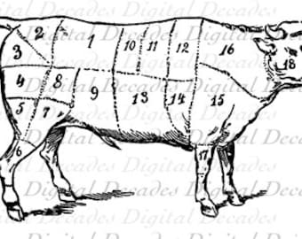 Beef boeuf Carnicero Carne Corte Gráfico Cocina - Imagen Digital - Ilustración de Arte Vintage