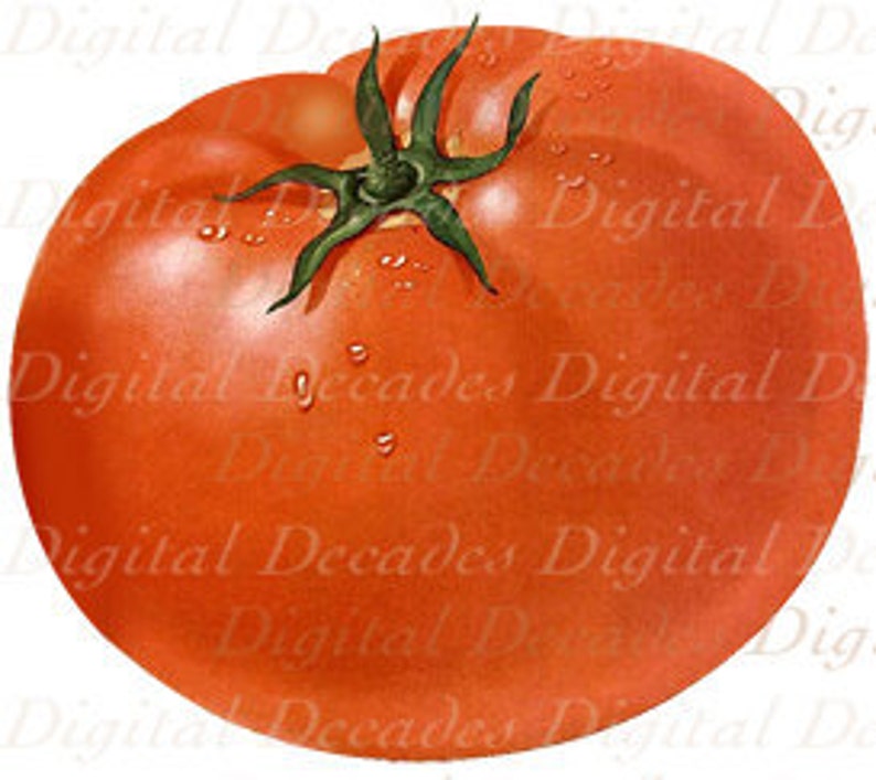 You Say Tomato I Say Tomahto Red Ripe Beauty Digital Image Etsy