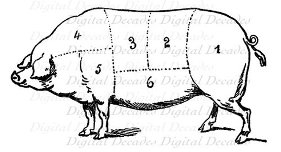 Pork Meat Cuts Chart