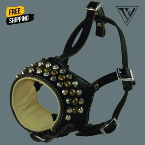 May include: Black leather dog muzzle with silver and brass-coloured studs. The muzzle has adjustable straps and metal buckles. The interior is lined with a light-coloured material. The muzzle is designed to fit around the dog's snout.