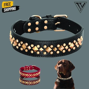 May include: Black leather dog collar with gold-colored studs and pyramid-shaped accents. The collar has a gold-colored buckle and hardware. The image also shows two additional collars in red and brown.