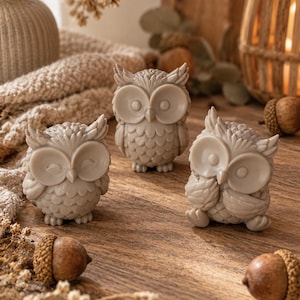 May include: Three small, light beige owl figurines with detailed feather textures and large circular eyes. The owls are positioned in a group, with one standing centrally behind two others that are slightly offset, all featuring smooth, matte surfaces.