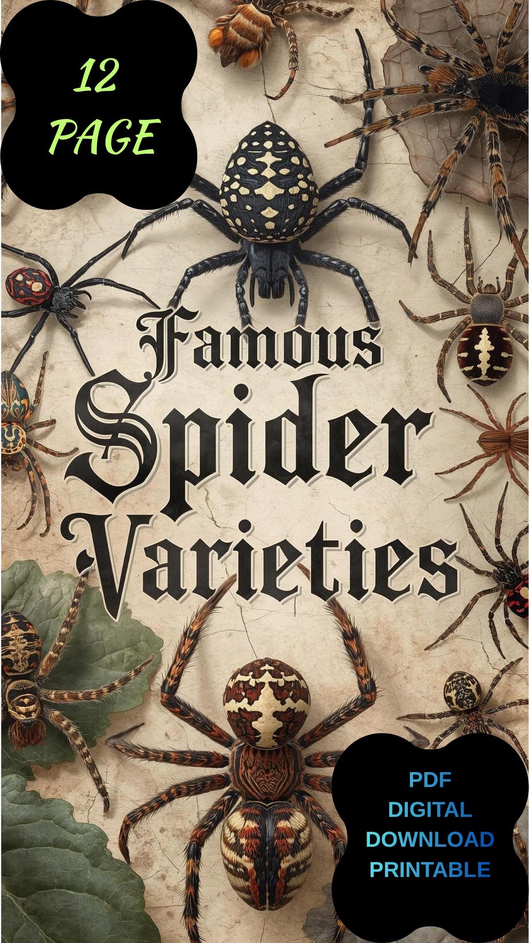 Famous Spiders Types of Spiders Educational Poster, Vertical Printable PDF, Famous ...
