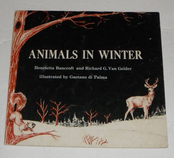 Animals in Winter Henrietta Bancroft and Richard G. Van Gelder - Etsy Animals in Winter Henrietta Bancroft and Richard G. Van Gelder - Etsy