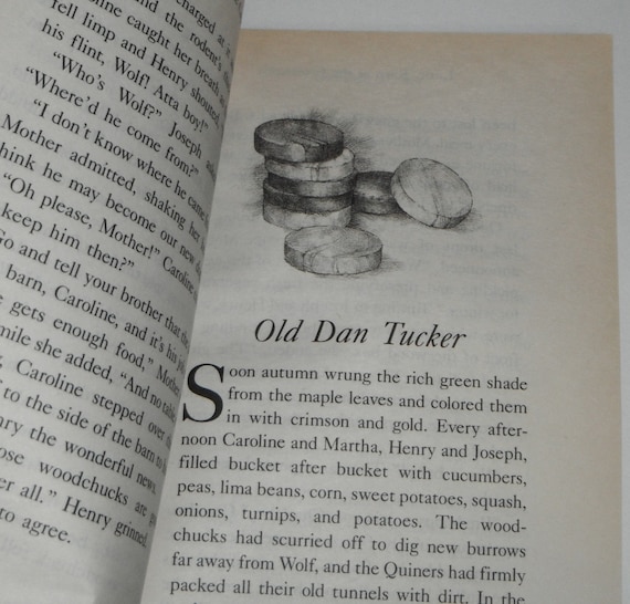 Little House The Brookfield Years Little Town At The Crossroads By Maria D Wilkes Vintage Softcover Book