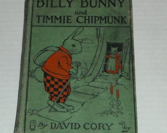 Billy Bunny and Timmie Chipmunk by David Cory Illustrations by Hugh Spencer Vintage Hardcover Book