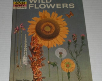 The How and Why Wonder Book of Wild Flowers  Deluxe Edition Vintage Hardcover Book Written by Grace F. Ferguson, B.A.