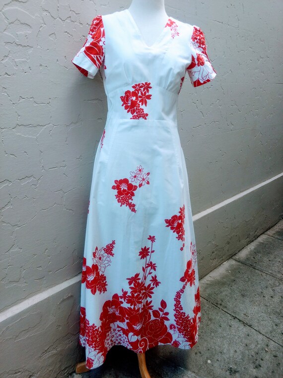 1960's Maxi dress