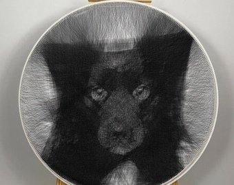 String Art Kit | Thread Painting Kit | Nail and String Art Craft | Creative Wall Decor | Beginner Craft Kit