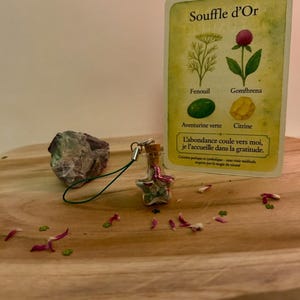 May include: A small glass bottle with a cork stopper, filled with pink and green objects, hangs from a green string. A card with French text and illustrations of plants and gemstones sits behind it. A rough, gray stone and scattered petals are also present.