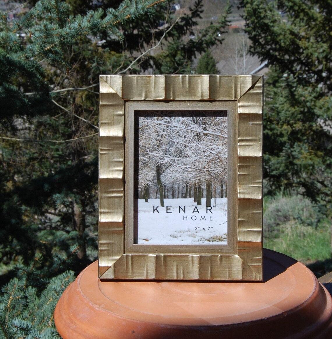 Champagne Gold Frame High End 5 x 7 Etsy