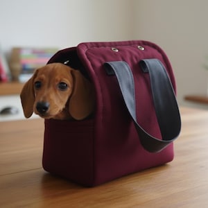 Può includere: Una borsa da trasporto per animali bordeaux con manici grigi, che contiene un cucciolo di bassotto marrone. La borsa è rettangolare e realizzata in un materiale robusto. Il cucciolo guarda direttamente la fotocamera.