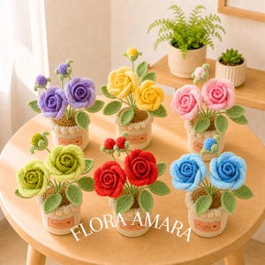May include: Six crocheted potted rose arrangements in purple, yellow, pink, light green, red, and blue. Each plant features two blooming roses, a small bud, and green leaves in a beige textured pot with a label reading FLORA AMARA.