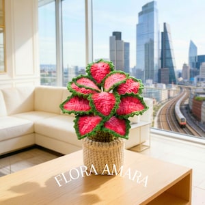 Mini Crochet Coleus Plant in Pot | Handmade Pink Caladium Decor| Nursery | Desk | Plant Gift | Housewarming |  Retirement | Plant Lover Gift