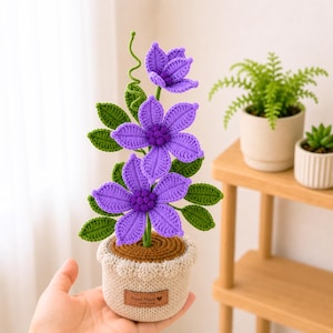 Può includere: Una pianta all'uncinetto in vaso con tre fiori viola vivaci con centri testurizzati, foglie verdi e un viticcio riccio. La pianta si trova in un vaso all'uncinetto beige con la parte superiore marrone e un'etichetta con scritto Hand Made.