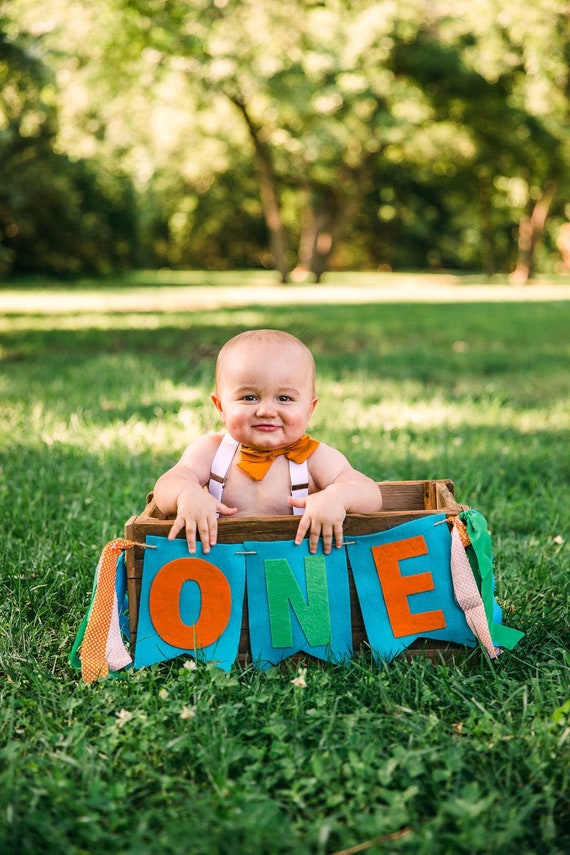 baby boy 1st birthday banner