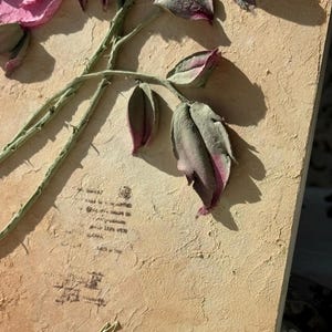 May include: A textured, rectangular artwork featuring a detailed relief of a pink rose with green stem and leaves. The background is a light tan color with faded text and a signature. The artwork is a unique piece of floral art.