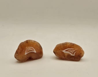 Polished Peach Alimajo Agate Pair