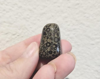 Chinese Oolite Cabochon