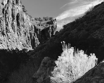 Nature Photography New Mexico Landscape Black and White 8x10 inches