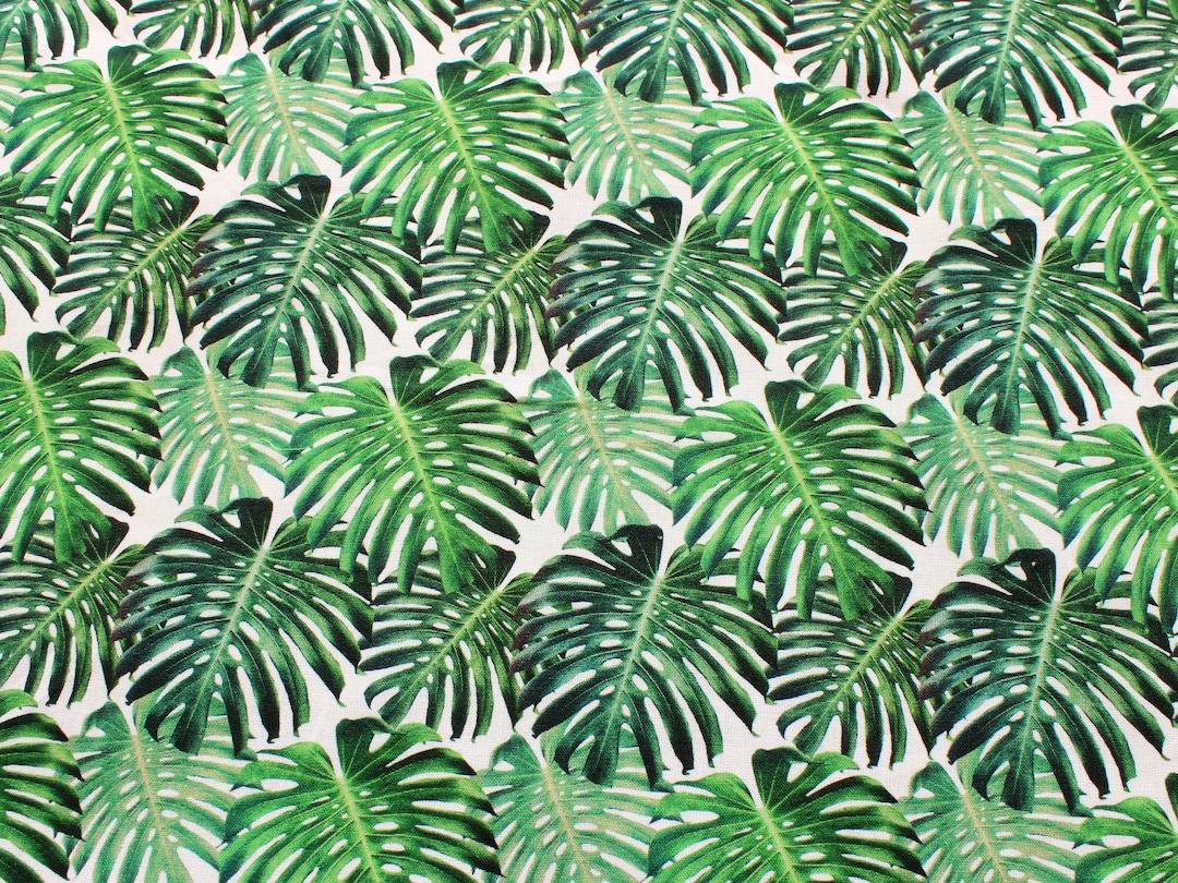 Monstera Leaf Fabric, 100% Cotton Swiss Cheese Plant Fabric, Green ...
