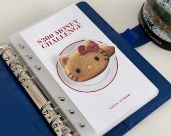 Desafío de ahorro de 300 dólares