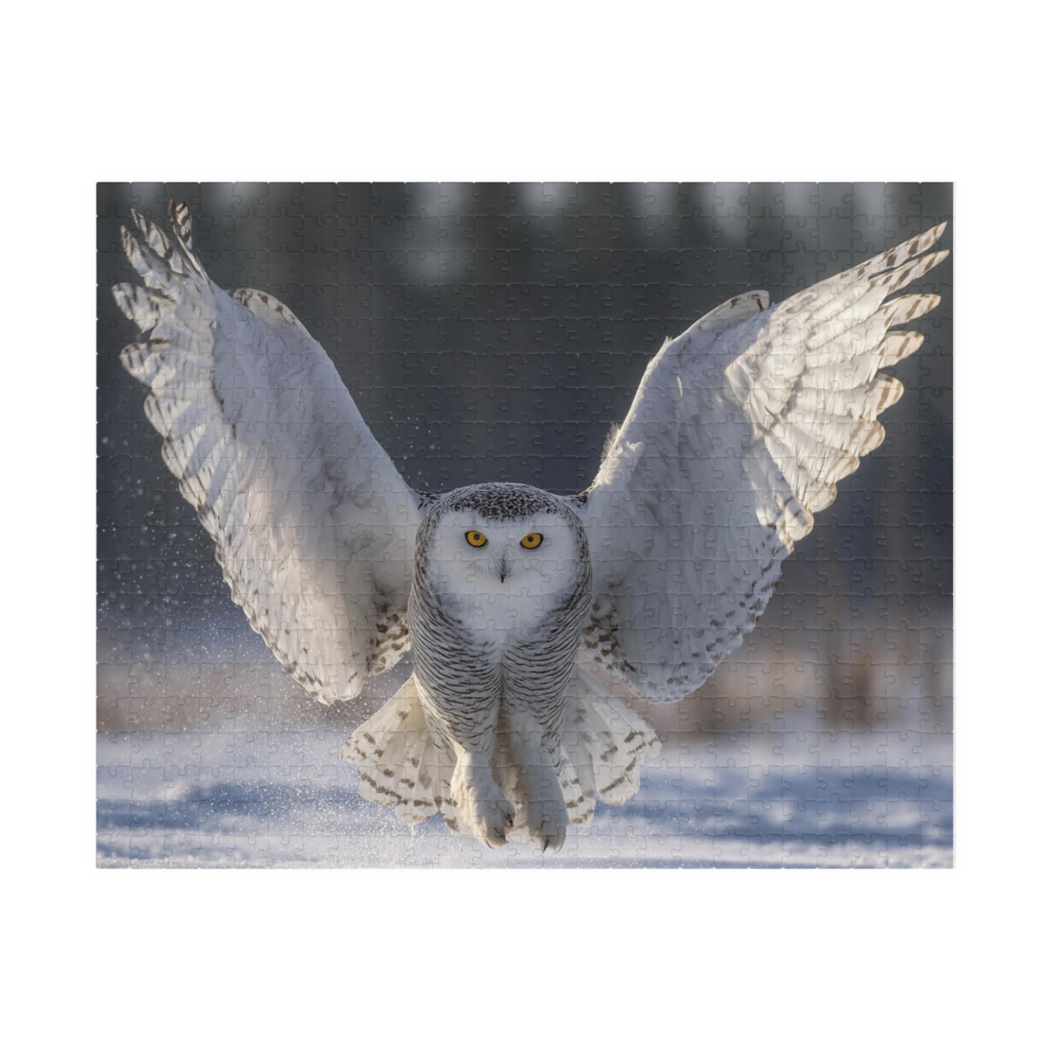 Snowy Owl Jigsaw Puzzle | 520 Piece Winter Wildlife Art