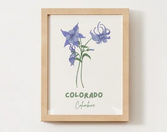 Blue Columbine Watercolor Art Print: Colorado State Flower (8x10) - Etsy