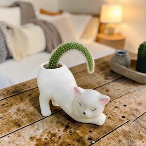 Peut inclure: Un pot de fleurs blanc en forme de chat avec un cactus vert. Le chat est en position d'étirement, les yeux fermés et des accents roses sur les oreilles. Le cactus se courbe gracieusement, ajoutant une touche de nature à la décoration.