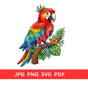 Può includere: Illustrazione colorata di un pappagallo appollaiato su un ramo, con testa rossa, ali gialle e verdi e coda blu. Il pappagallo è circondato da foglie tropicali e un piccolo fiore arancione. Il testo "JPG PNG SVG PDF" è incluso.