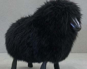 Exhibición de ovejas pequeñas