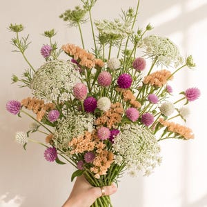 Marshmallow Cloud Filler Cutting Garden Seed Kit | Cut Flower Seed Blend | Beginner Flower Garden