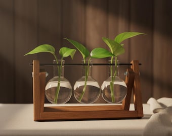 Propagation Station with 3 Glass Tubes | Wooden Plant Holder | Hydroponic Vase for Cuttings & Home Décor